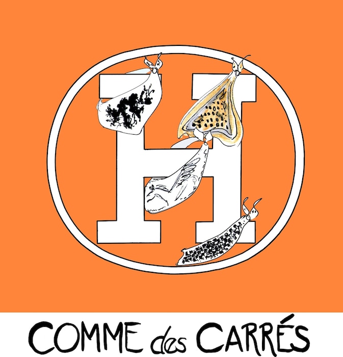 Herm&#232;s Scarves
