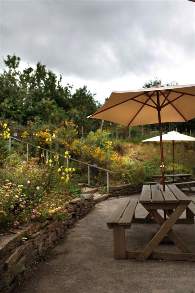 Riverford Farm and Field Kitchen
