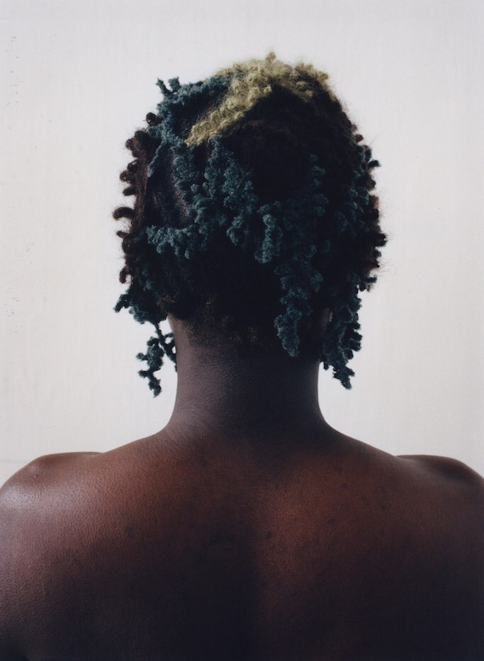 Eugenia Skvarska Shadowing Project