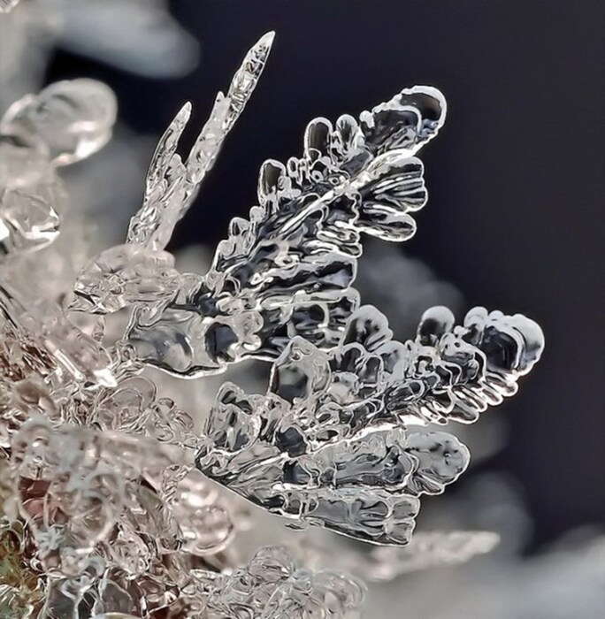 Photography by Andrew Osokin