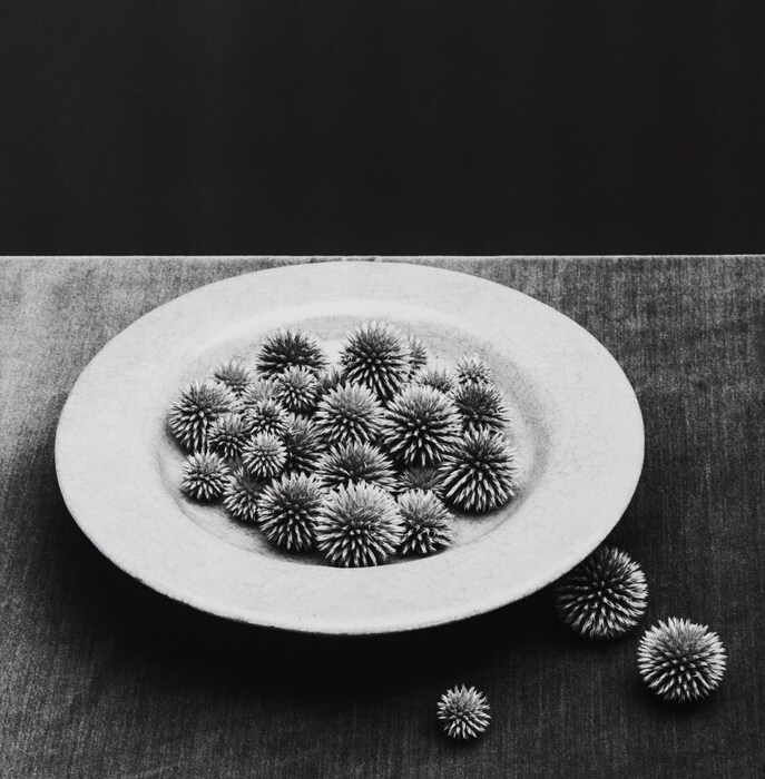 Robert Mapplethorpe: Subject Object Image