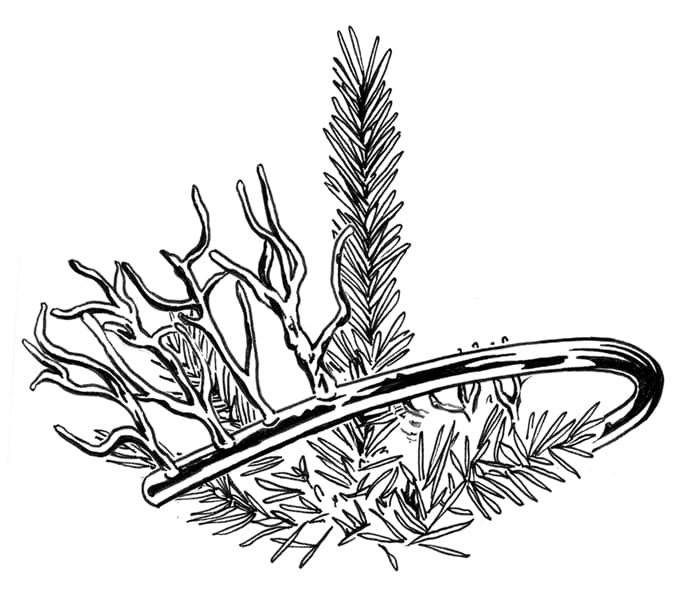 Fantasy Balenciaga decoration