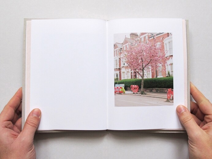 The Cherry Blossom in Kilburn