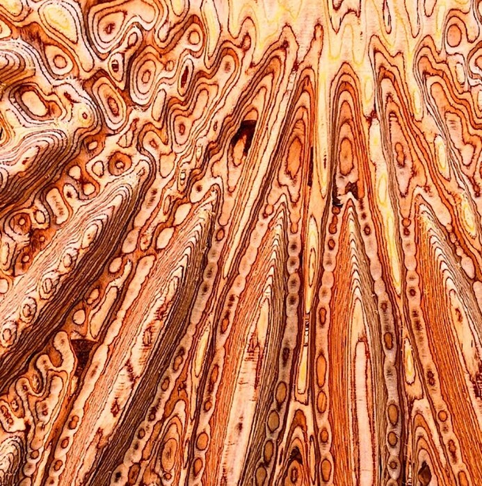 Plywood