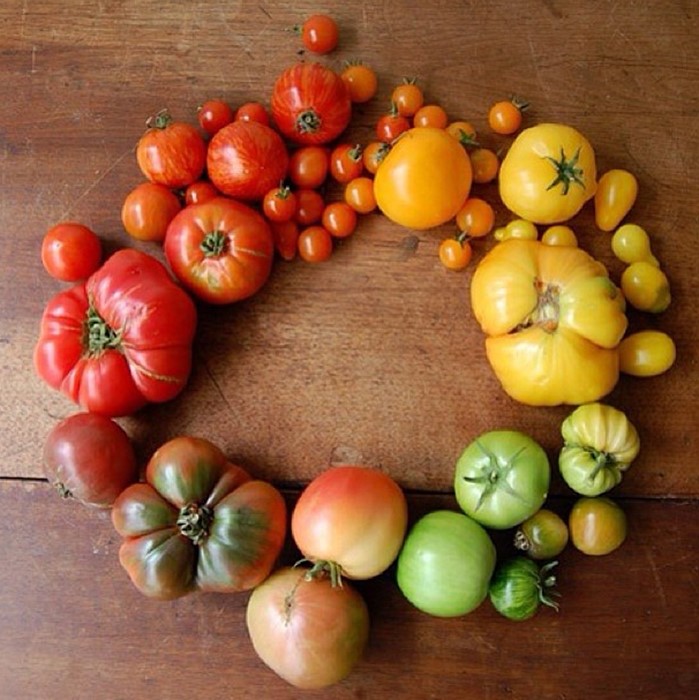 Tomatoes