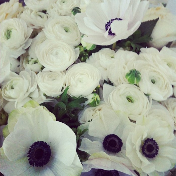 Anenomes at Rambert Rigaud&#39;s Paris Flower Shop