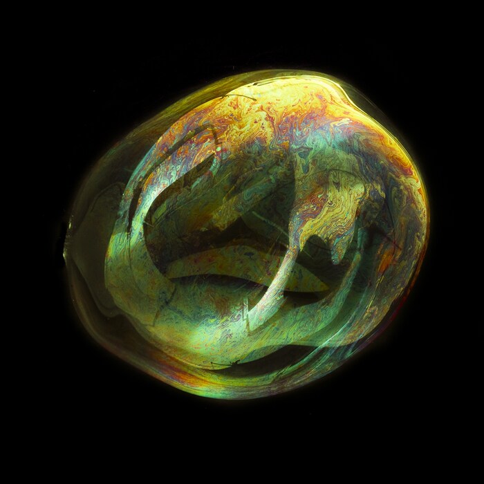 Orbital, 2012
