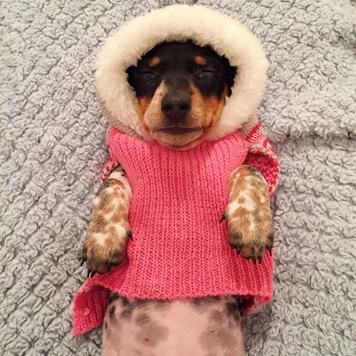 Reese