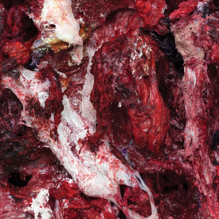 Anish Kapoor, 2015, Silicone