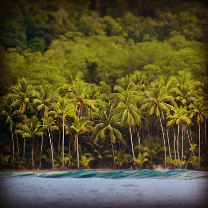 the-coastal-challenge-costa-rica
