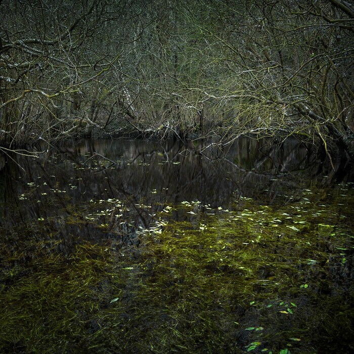 Ellie-Davies_Half-Light-4_2016