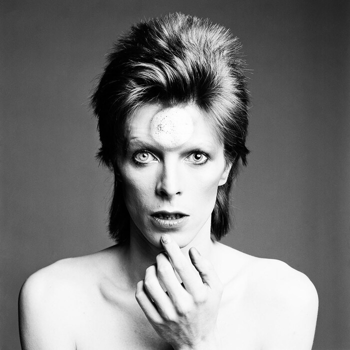Lit-Fest-161007_Clore-Ballroom_The-Age-of-Bowie_cr