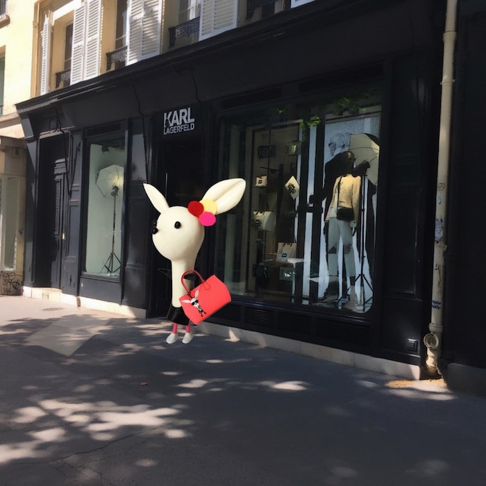 10_Bonjour Mizi shopping