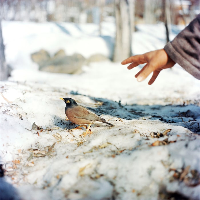 Sohrab_Hura_Magnum Photos NN11583358