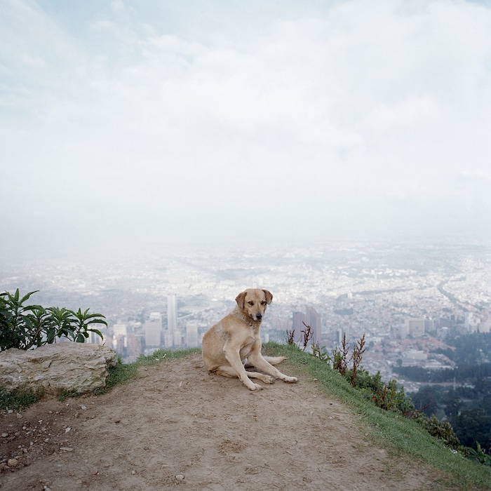 Magnum Square Print Sale: On the Horizon
