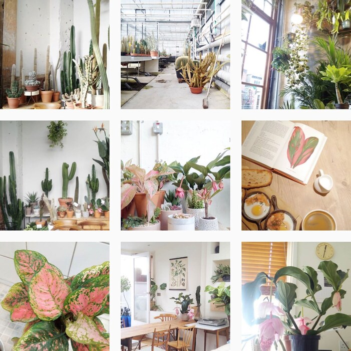 Conservatory-Archives