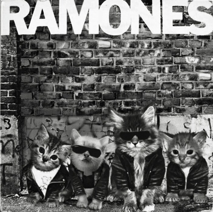 The RaMEOWnes