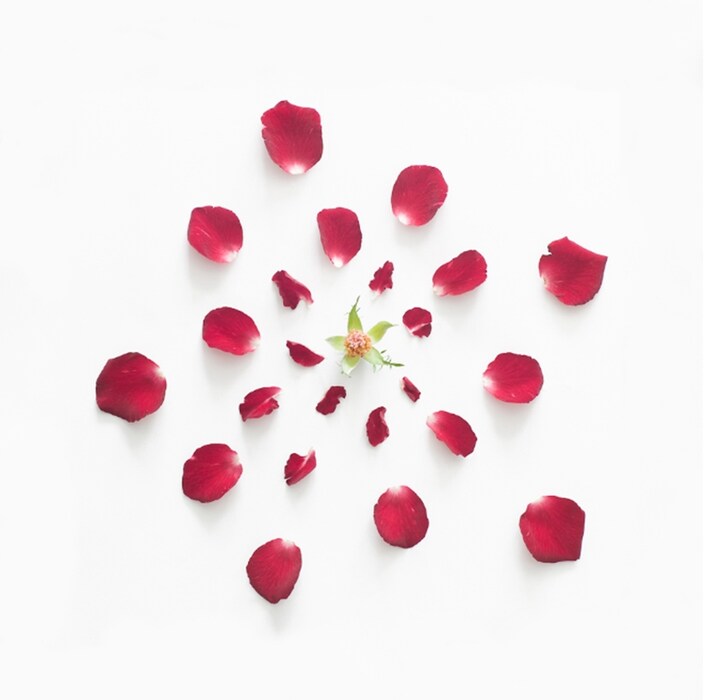 Exploded Flowers