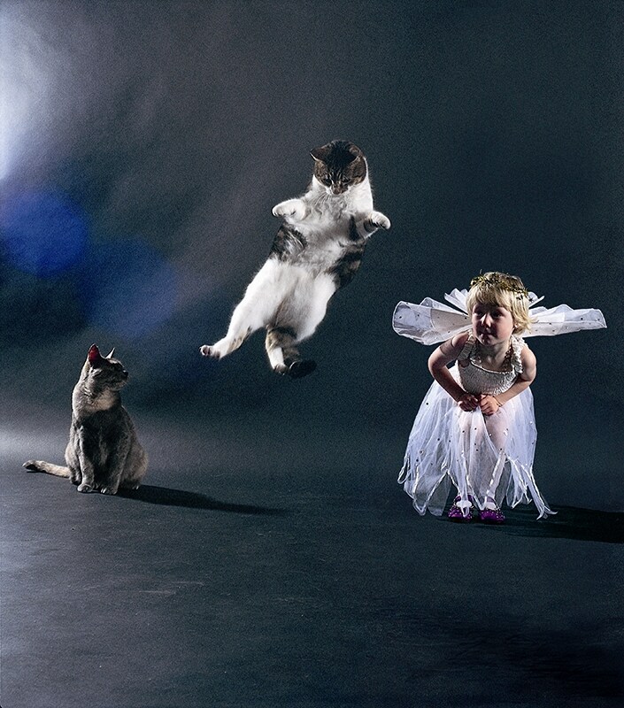 Image from Dancing with Cats by Burton Silver