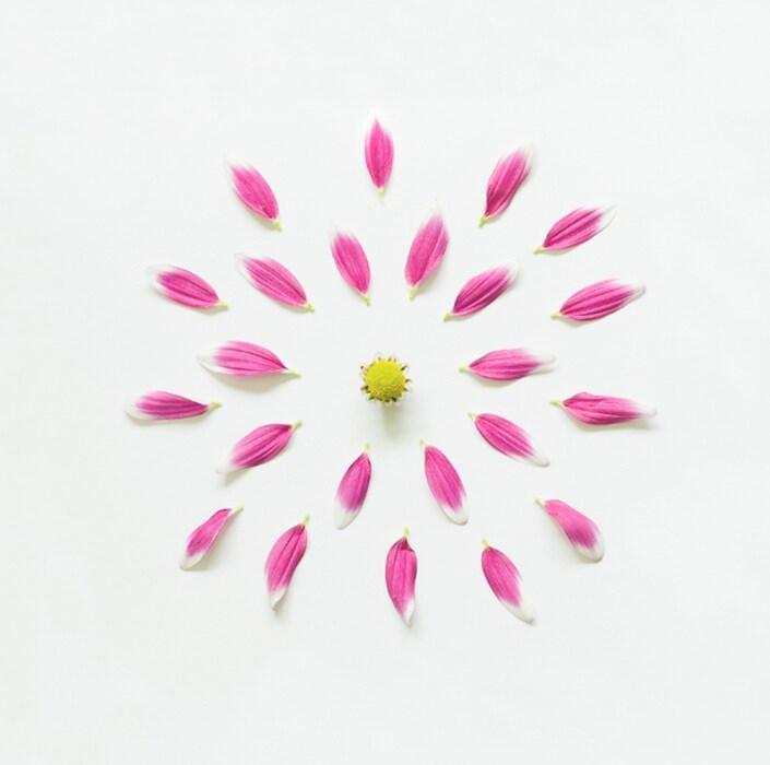 Exploded Flowers