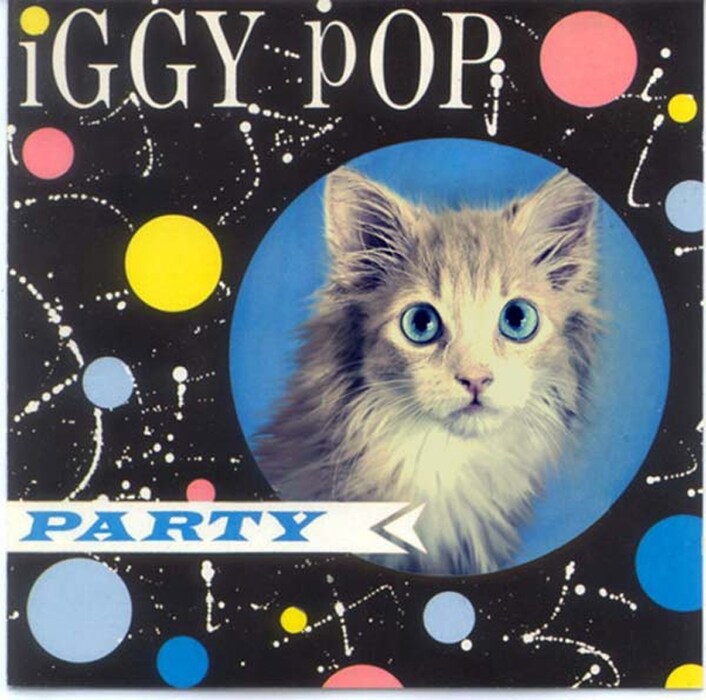 Kitty Pop