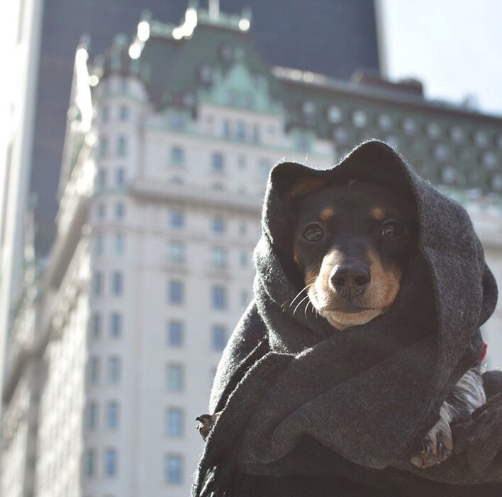 Indiana at Central Park