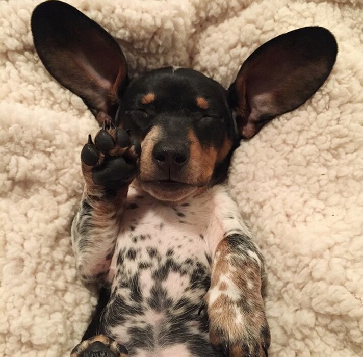 Reese sleep-waving