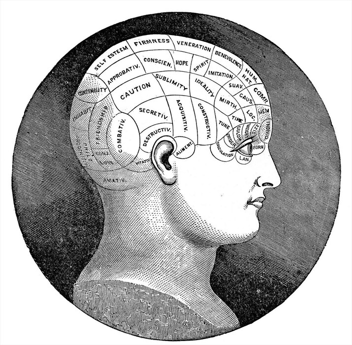 Phrenology head from the 1880s
