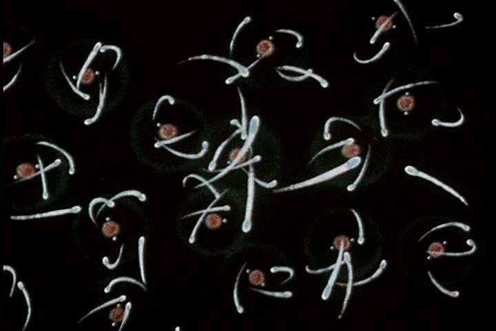 Principles of Electricity, 1948