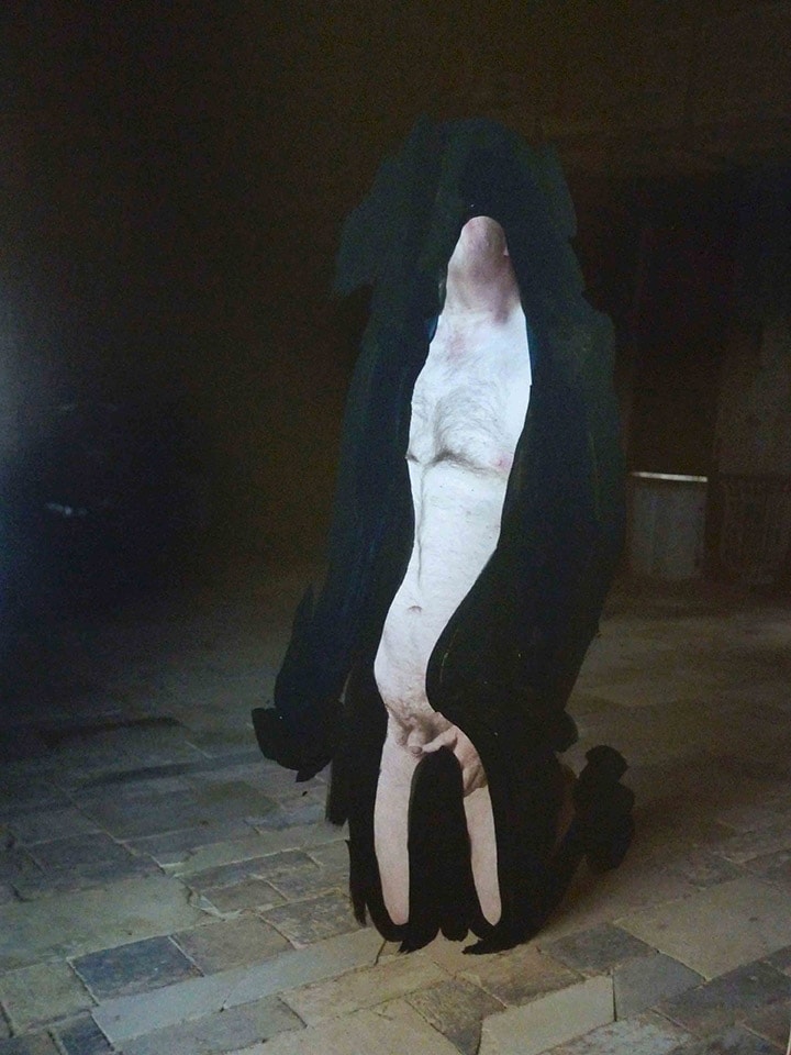 Erwin Wurm, Ohne Titel (Cajetan) 7, 2012