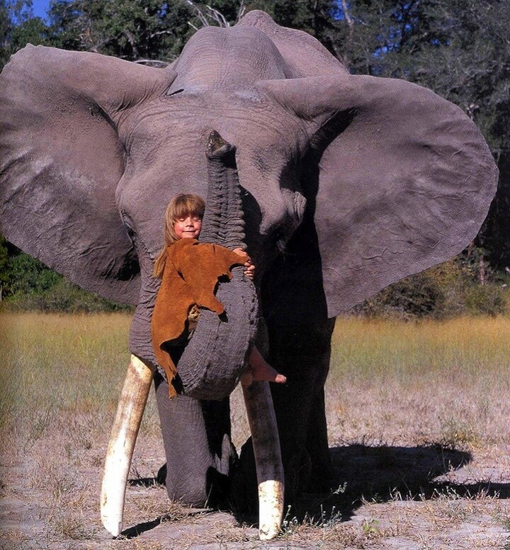 Tippi Degr&#233; aboard Abu the elephant
