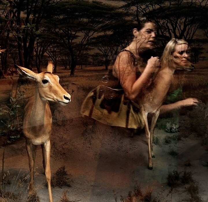 Traer Scott, Gazelle