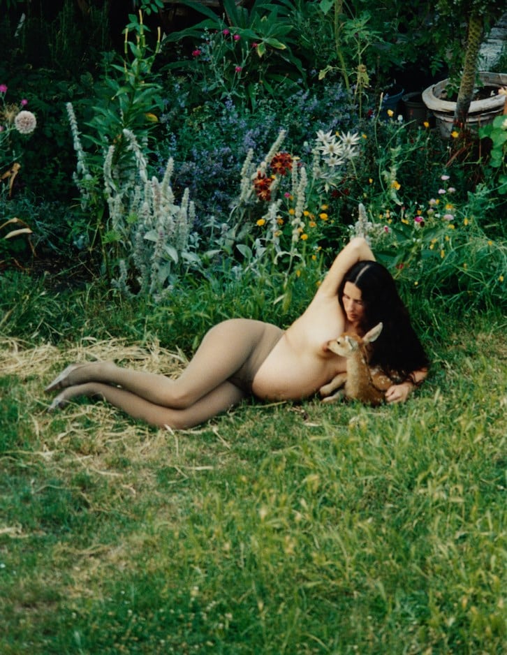 Harley Weir for AnOther Magazine Autumn/Winter 2026 Art Proj