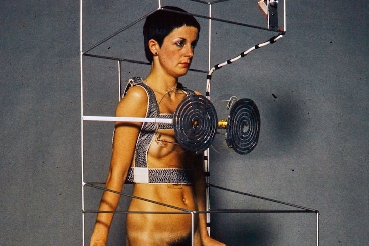 Helen Chadwick: Life Pleasures