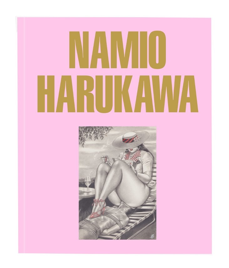 Namio Harukawa fetish art