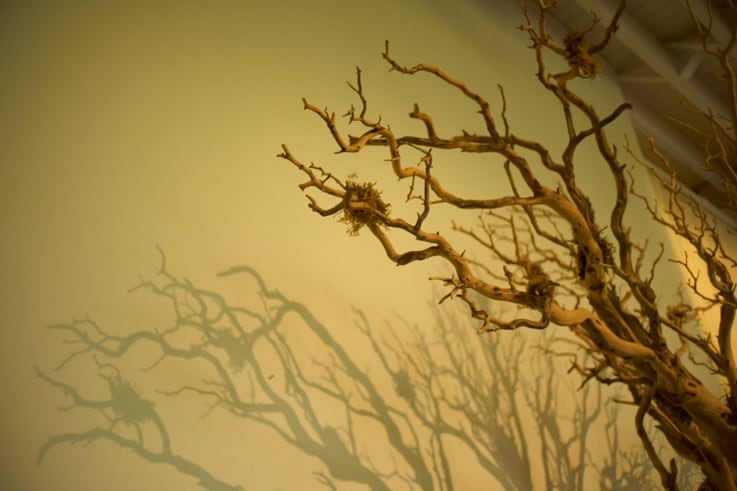 Backstage at Donna Karan