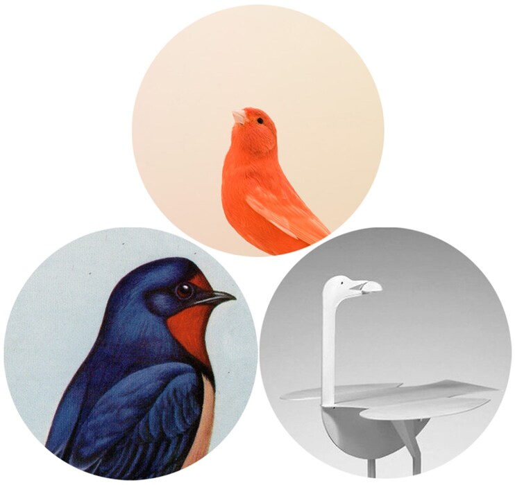 Birds, Birds, Birds