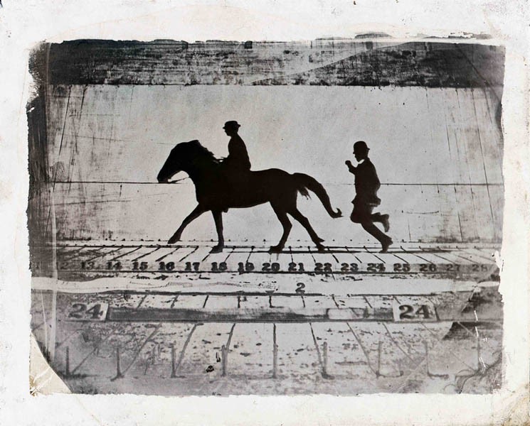 Eadweard Muybridge | AnOther