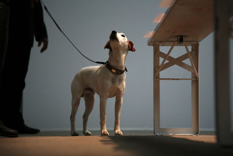 Audience at Gareth Pugh show, Photography by Alfredo Piola