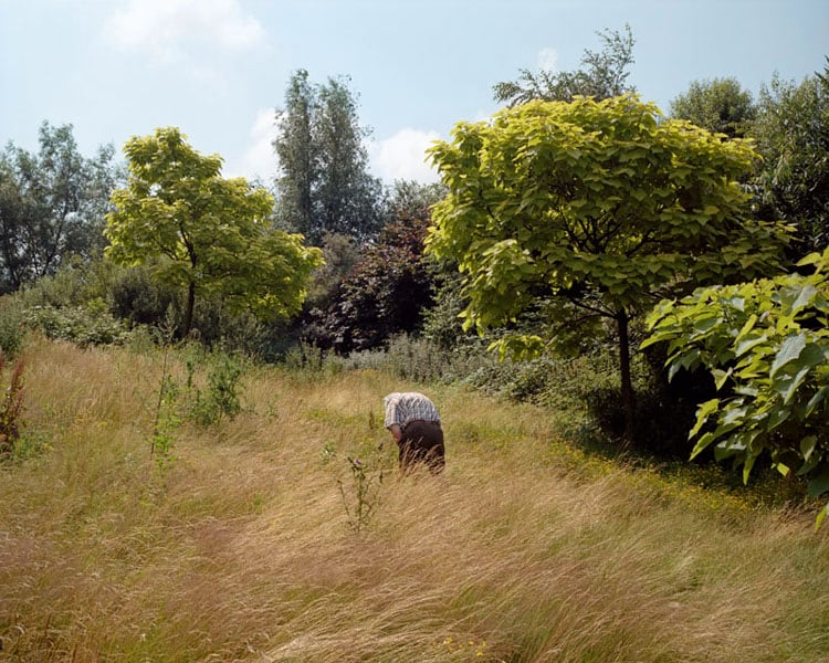 Antwerp, After The Fall