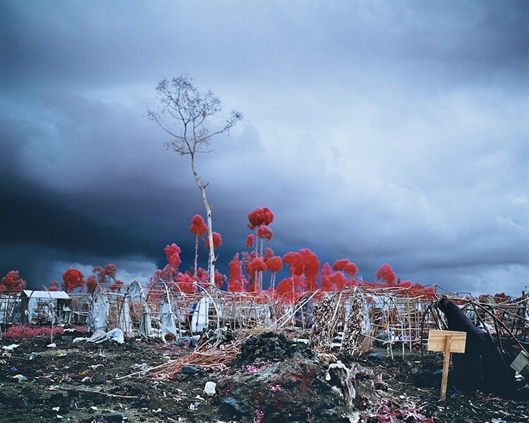 Richard Mosse,&#160;Tombstone Blues, North Kivu, Eastern Congo, 2