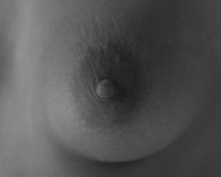 Work No. 1177