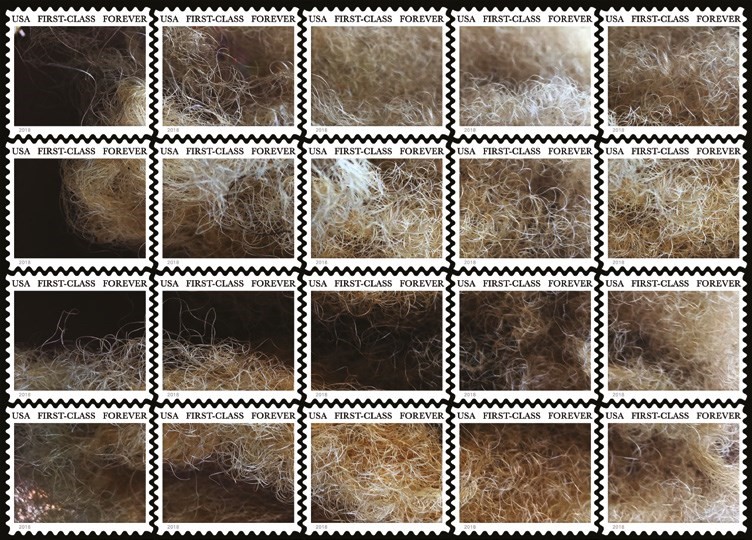 John Lucas &amp; Claudia Rankine, Stamped, 2018