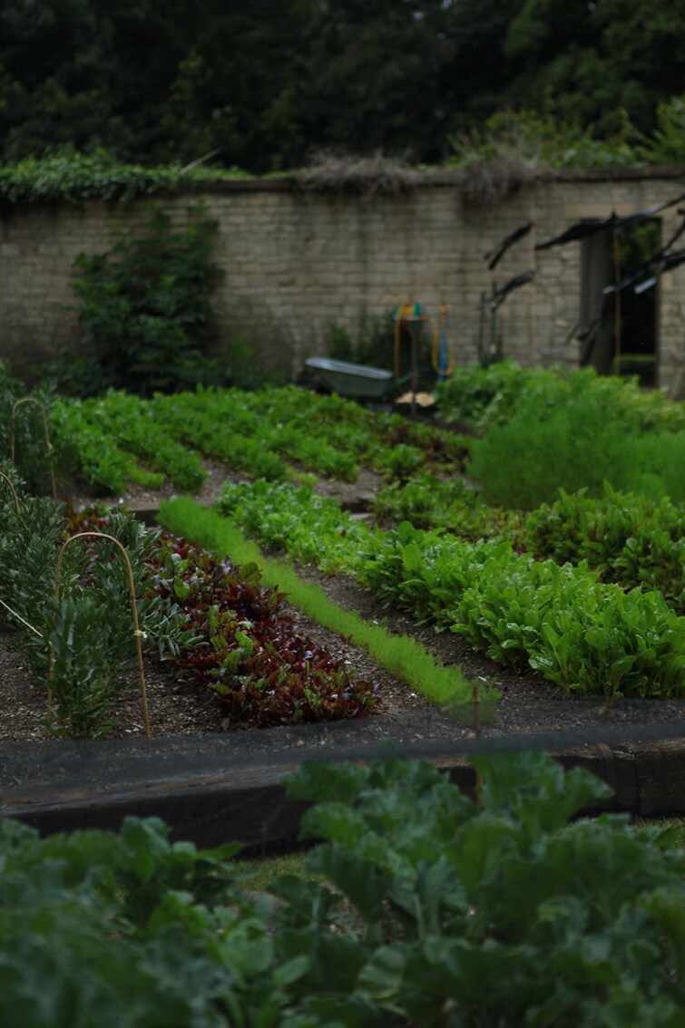 Richard Vine’s kitchen garden at Lucknam Park