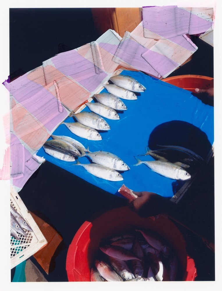 More Than Our Bellies Cookbook Phillip Lim Viviane Sassen