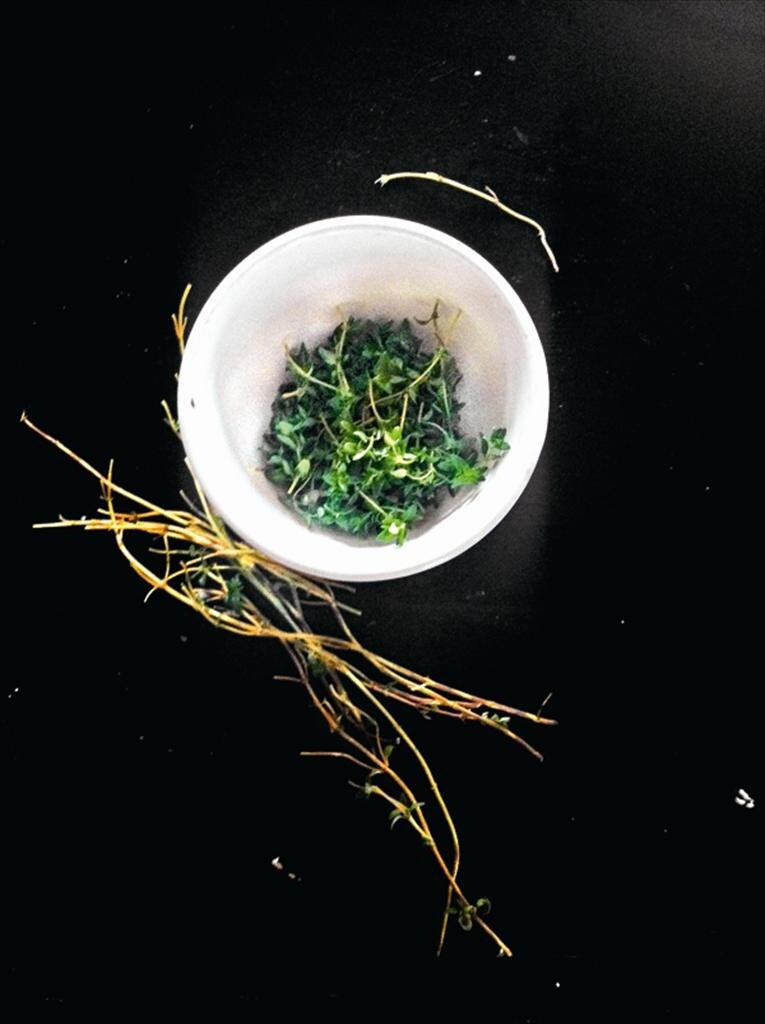 Sprigs of thyme