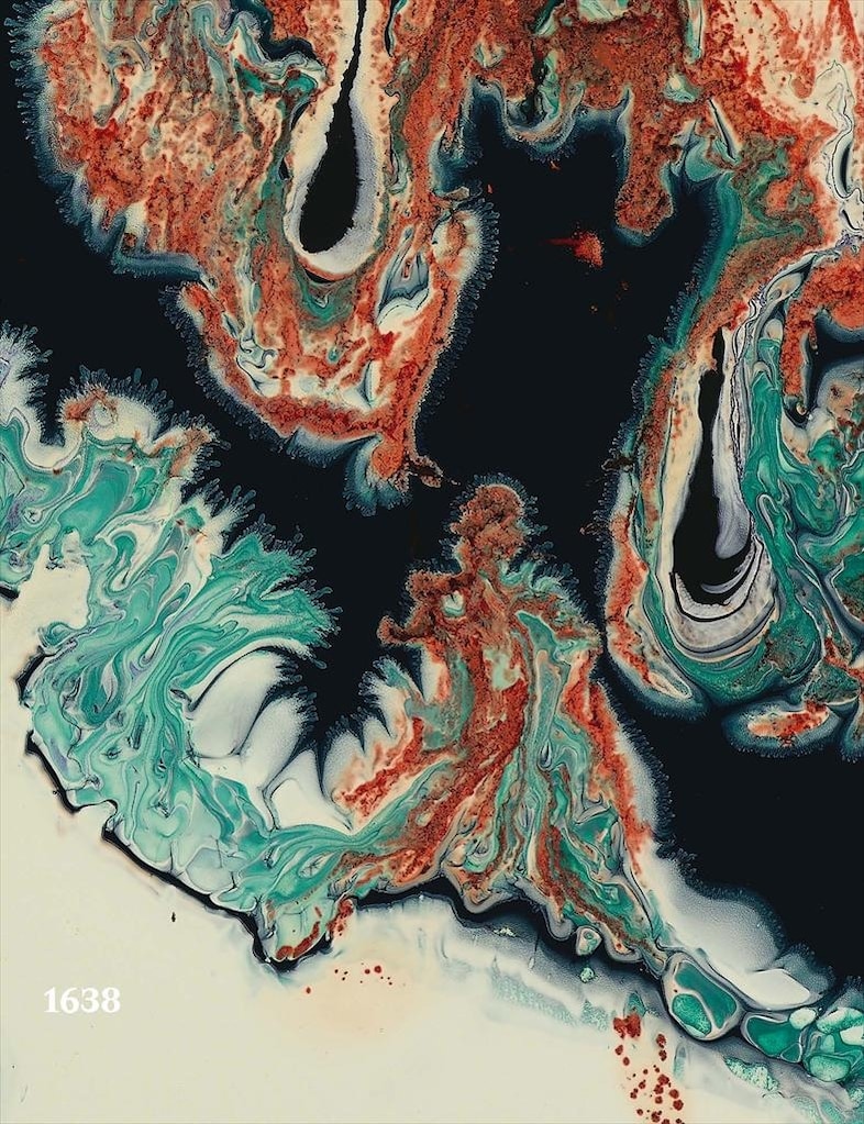 Taken from the Nature Paintings series by Keith Tyson, 2008 