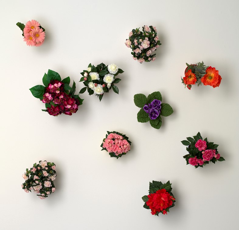 Hans-Peter Feldmann, Flower pots