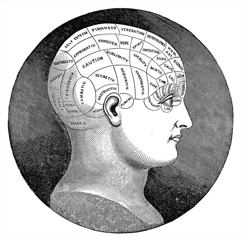 Phrenology head from the 1880s