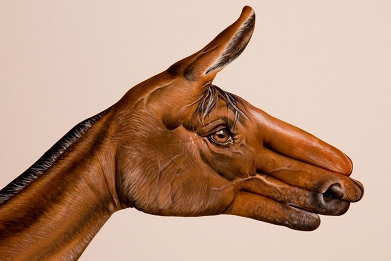 Horse by Guido Daniele
